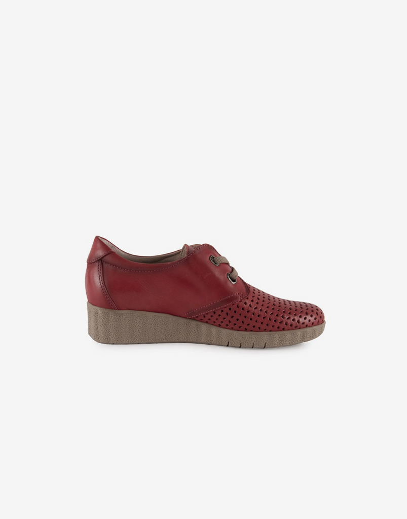 Zapato Plantilla Extraíble Zapato Plantilla Extraíble