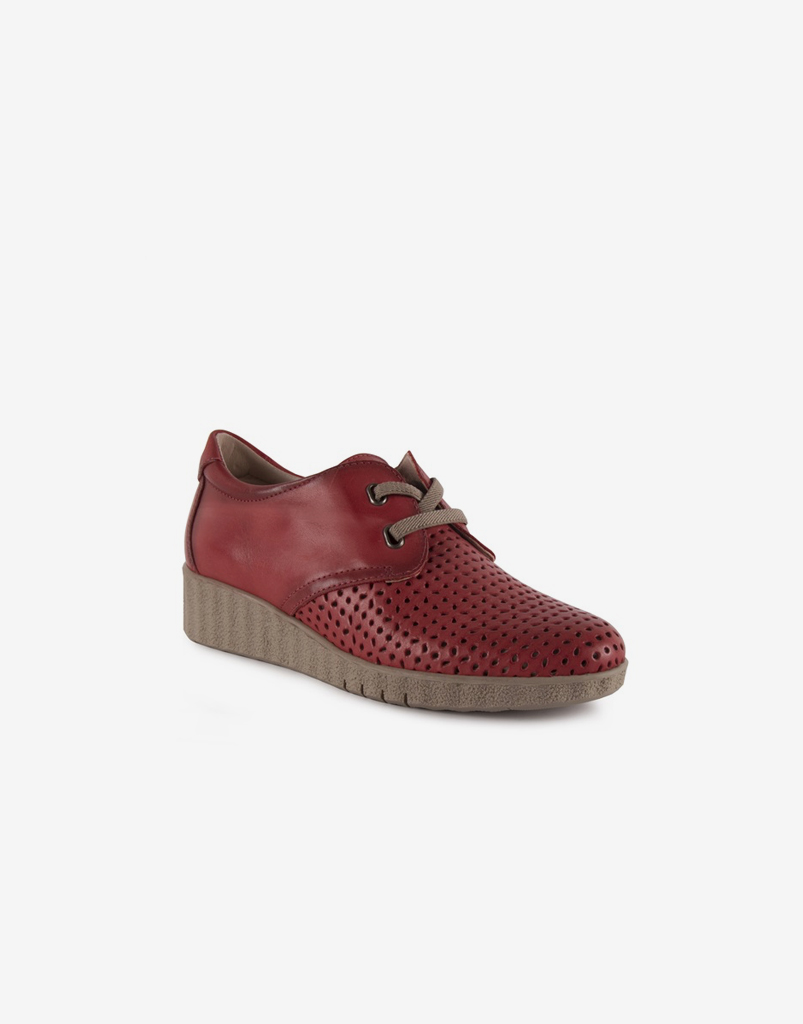 Zapato Plantilla Extraíble Zapato Plantilla Extraíble