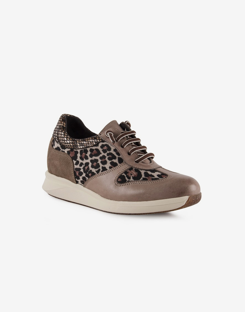 Zapatilla Casual Mujer Zapatilla Casual Mujer